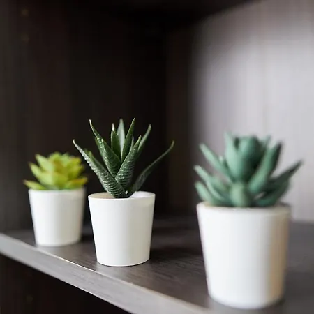 Le Lovely - - 5 Mins Des Caves De Champagne アパート *