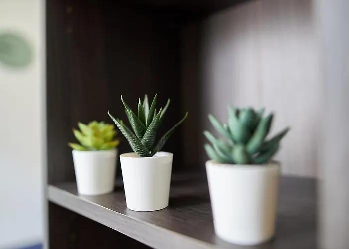 Le Lovely - - 5 Mins Des Caves De Champagne Апартаменты *